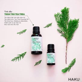 gioi thieu ve tinh dau tram tra tea tree essential oil