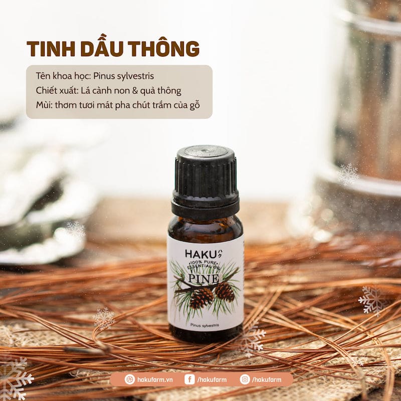 tinh dau thong pine