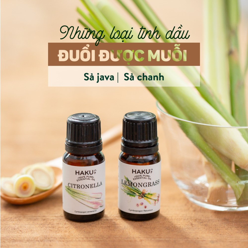Biểu hiện triệu chứng của sốt xuất huyết là gì?